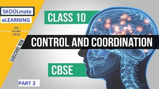 CONTROL AND COORDINATION | CLASS 10TH | PART 4