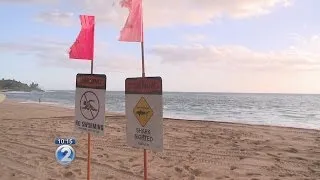 Boy hospitalized after apparent shark attack in Makaha
