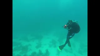 Shaab El Erg, Red Sea Egypt (Dolphins) Scuba Diving Pt3