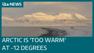 Svalbard: The remote Arctic island warming seven times faster than the global average| ITV News