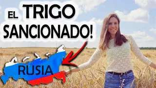 ASI es mi vida campesina en Rusia rural!  Trigo sancionado!