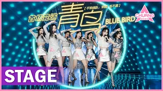 【STAGE】"Blue Bird 青鸟" 火影主题曲听到热血沸腾！| 纯享版 | 创造营 CHUANG 2020