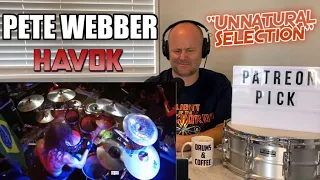 Drum Teacher Reacts | PETE WEBBER - Havok - 'Unnatural Selection' | (2020 Reaction) WOW!