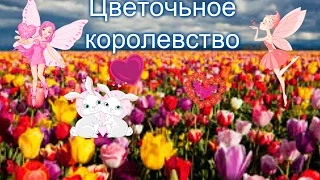 Цветочное королевство!!! Паркур :(