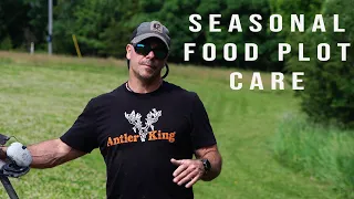 Seasonal Food Plot Care | How to Take Care of Your Food Plots | Best Food Plots to Plant In Summer