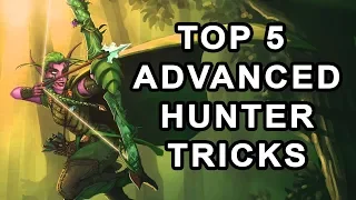 Top 5 Advanced Hunter Tips & Tricks in Classic WoW