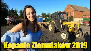 Kopanie Ziemniaków 2019 z Mileną ! ☆Ursus C-360 3p z Kopaczką w Akcji