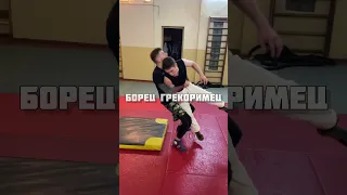 Больше приколов в инст:kran.mma #кранмма #kranmma #бокс #борьба #карате #единоборства