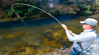 Fly Fishing an AMAZING River for WILD trout! [NEW ZEALAND]