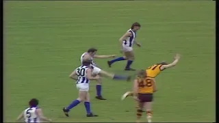 1975 VFL Grand Final North Melbourne Vs Hawthorn (FULL MATCH)