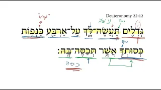 Deuteronomy 22:12