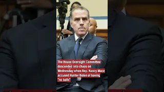 "No Balls" House Hearing Plunges Into Absolute Chaos After Republican Accuses Hunter Biden