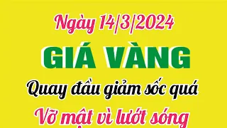 Giá vàng hôm nay 9999 ngày 14 tháng 3 năm 2024-GIÁ VÀNG MỚI NHẤT- Bảng giá vàng 24k 18k 14k 10k