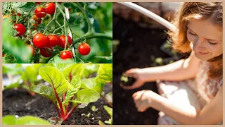 38 Gemüse, die du im April säen und pflanzen kannst!