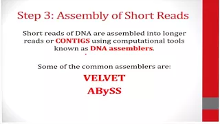 DNA SEQUENCE ASSEMBLY