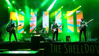 The ShellDoves live 2023 (Full Concert)