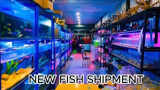 "Unboxing Our Exciting New Fish Shipment! 🐠📦 | Dive into the Aquatic Adventure!"