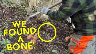 Unexpected Discovery: Unearthing a Bone During Yard Cleanup