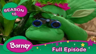 Barney | FULL Episode | Rabbits | Season 10