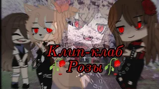 † Клип-Коллаб † 🥀Розы † Gacha club † @vaalfi4347