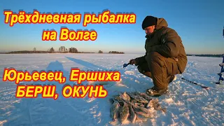 Трехдневная рыбалка на берша и окуня зимой на льду. Волга, Юрьевец, Ершиха. Балансир, безмотылка.