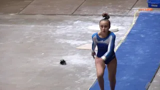 State Class AA Individual Gymnastics Highlights