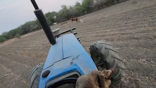 🇲🇽 Farmers Teaching #MasklessRefugee #RanchLife 🤠