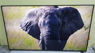 Телевизор 55" LG 55SM8600 две тонкие полосы