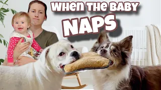 When the Baby Naps