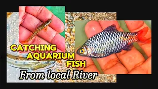 Catching Aquarium FISH 🐠 from local River | Rare fish rescue⛑️ from discarded NETS | Aqua adventure