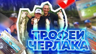 ТРОФЕЙНЫЕ СУДАКИ ЧЕРЛАКА 2-3 КГ,ЗАЛЕТЕЛА ЩУКА НА 5КГ!!!КЛЕВЫЕ ПРИМАНКИ