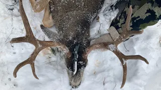 Big Backcountry Buck Down!!! | S5E10 | Limitless Outdoors