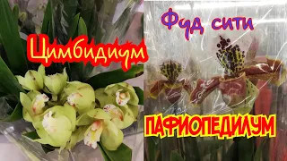 #фудсити #цветы Орхидеи и другие цветы в Фантазии. Фуд Сити.