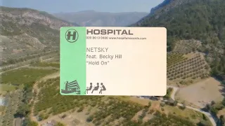 Netsky - Hold On (feat. Becky Hill)