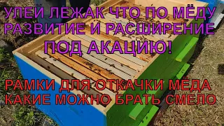 Улей ЛЕЖАК сколько мёда в лежаке РАМКИ ДЛЯ ОТКАЧКИ какие можно брать РАЗВИТИЕ И РАСШИРЕНИЕ ✅☝️🐝