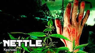 Крапива / Nettle (2016) Трэш-фильм!