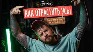 Как отрастить усы? Воск для усов Borodist