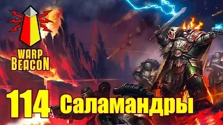 ВМ 114 Либрариум - Саламандры / Salamanders