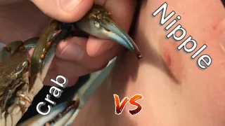 Crab Pinched Friends Nipple For $20!!(BEST REACTION)