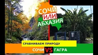 Сочи и Гагра | Сравниваем природу 🌻 Кубань VS Абхазия - что лучше?