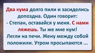 ⚜️ Два Кума на Печи и Жена между Ними! Сборник Самых Смешных Анекдотов!