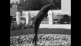 Жесткая тюрьма  Черный Дельфин -  Сюда попадают навсегда