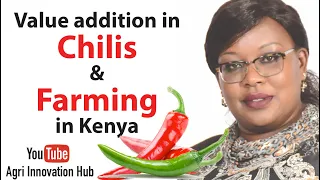 The largest CHILI PROCESSOR and FARMING in Kenya