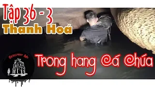 Trong Hang Cá Chúa [Tập 36-Phần3]