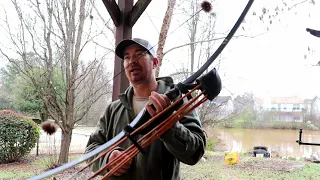 Bear Montana Longbow Initial Review!