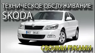 Техническое обслуживание автомобиля своими руками ТО Skoda Octavia своими руками