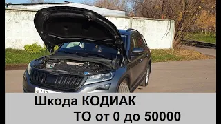 Шкода Кодиак, расход на ТО за 50000 пробега...