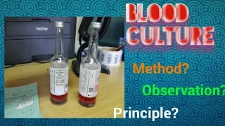 Blood Culture test procedure Microbiology