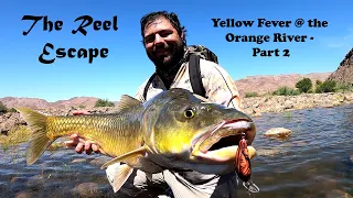 Yellow Fever @ the Orange River Part 2 (Spinning for Yellowfish)