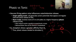 PSY305 CH5PT4: Dopamine Function